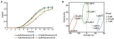 Transcriptome profiling in response to Kanamycin B reveals its wider non-antibiotic cellular function in Escherichia coli